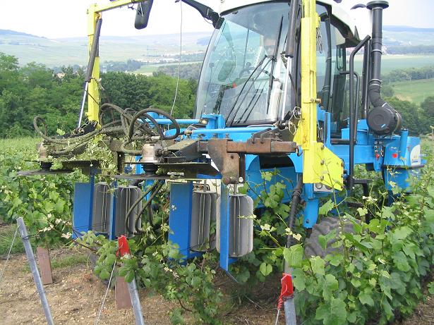 Prestataire en action (vignoble du Chteau de Bourseaux)